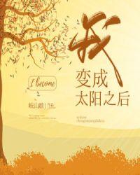 我变成了太阳之后晋江
