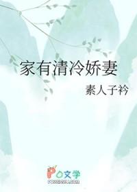 家有清冷娇妻gl百度
