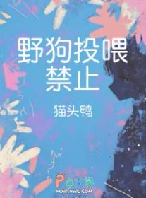 喂养野狗的承担的责任