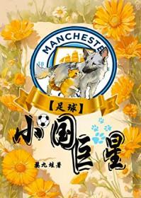 小国的球星