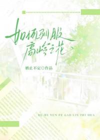 高岭之花指南
