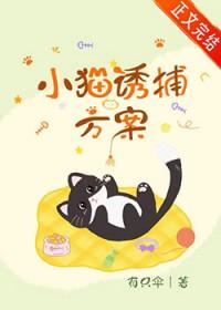 小猫诱捕方案 有只伞