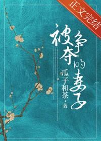 被争夺的妻子 百度