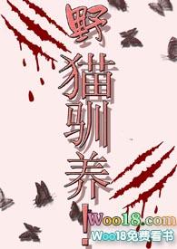 野猫驯养by