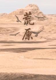荒原系列